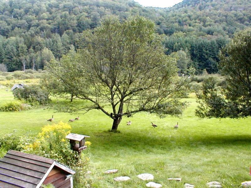 Mountain Valley Retreat Killington Zewnętrze zdjęcie