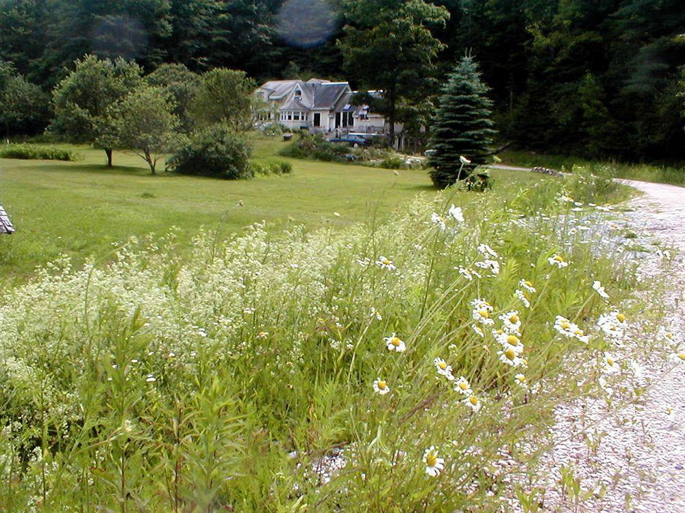 Mountain Valley Retreat Killington Zewnętrze zdjęcie