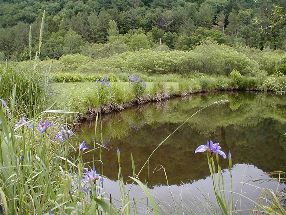 Mountain Valley Retreat Killington Zewnętrze zdjęcie